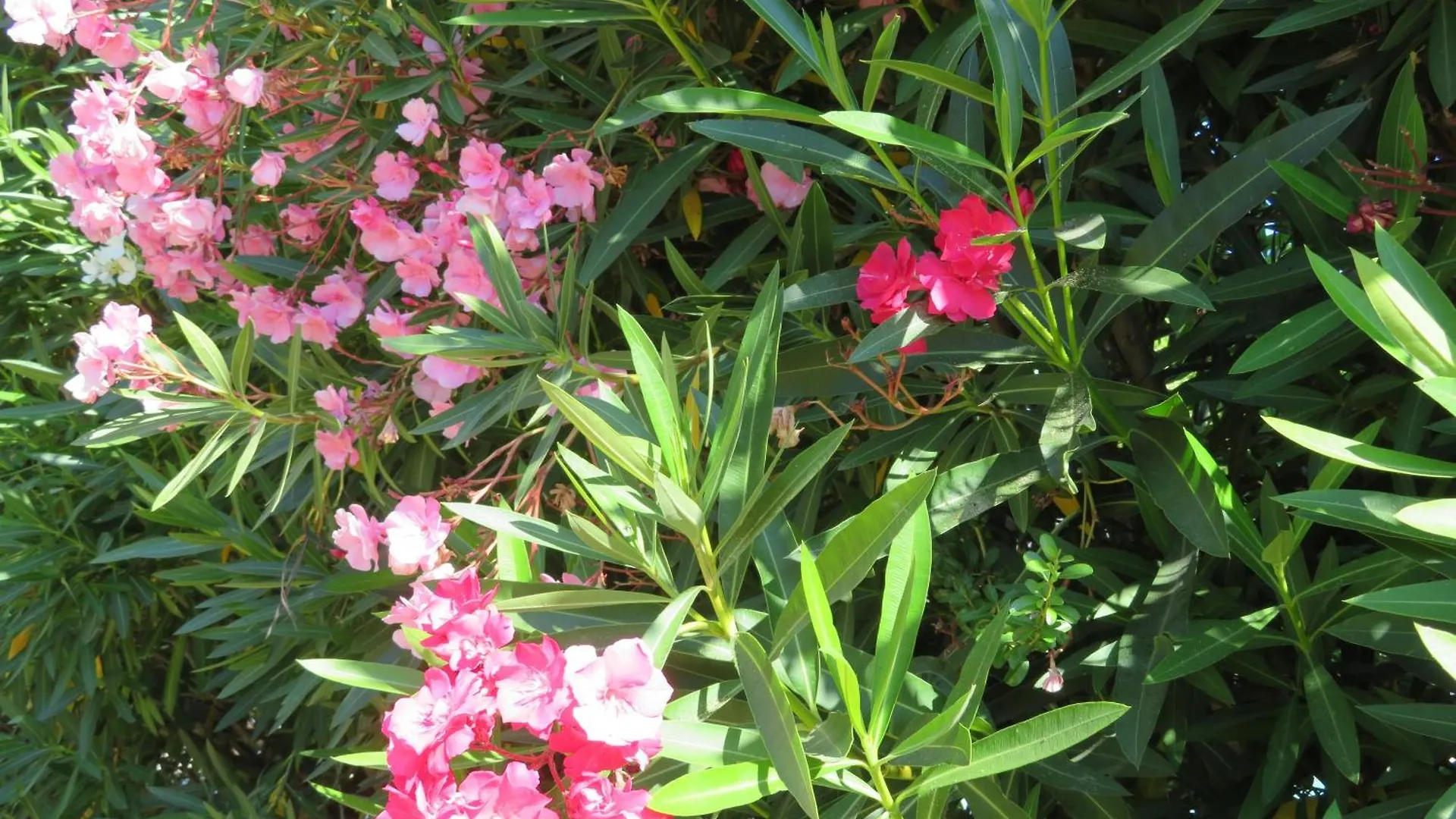 Domaine De Claude Bed & Breakfast La Cadiere-d'Azur