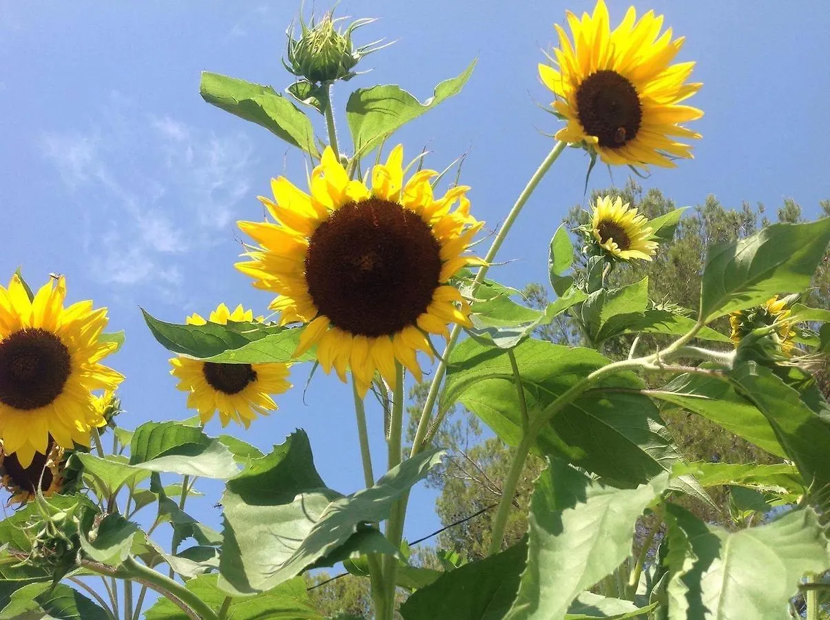 Domaine De Claude Bed & Breakfast La Cadiere-d'Azur